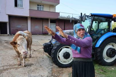 Kozan’daki selde hayvanları telef olan kadın: "Bir anda sel geldi, ahırın üstünü aştı"