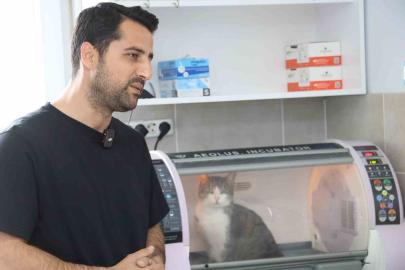 Kral ölümden döndü, zorlu ameliyat başarıyla tamamlandı