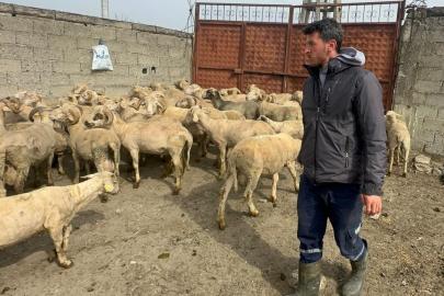 Kurbanlık parasıyla evlenmişti şimdi doğacak bebeği için kullanacak