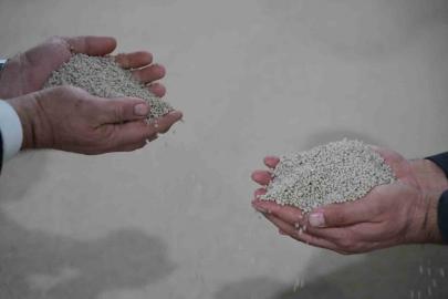 Küresel gübre krizine yerli çözüm: Arz sorunu yok