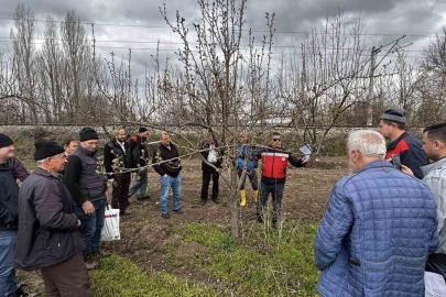 Kütahya’da meyve üreticilerine budama ve aşılama eğitimi