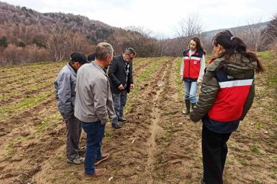 Kütahya’da yüzde 75 hibeli ahududu bahçelerinde kontroller gerçekleştirildi