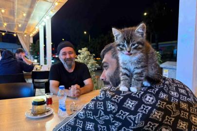 Madde bağımlılığından yavru kedi sayesinde kurtuldu