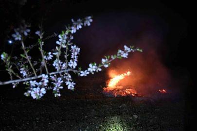 Manisa’da zirai don nöbeti