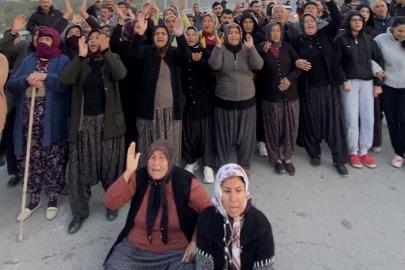 Mersin’de ormanlık alana ekili narenciye bahçelerinin kaldırılması kararına tepki