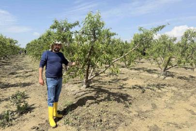 Mersin’de selin ardından bahçelerde sular yeni çekildi