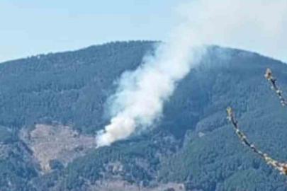 Nazilli’de orman yangını