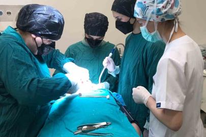 Ordu’da özel bireylerin diş problemlerine etkili çözüm