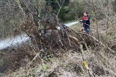 Ormanlık alanda çıkan yangın büyümeden söndürüldü