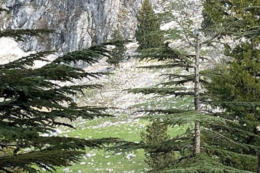 Osmaniye’de kayalıklardan düşen adam hayatını kaybetti