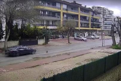 Otomobilin çarpmasıyla ölen kedinin yavrusu başından ayrılmadı