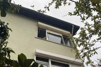 Pencereden bakan ev kedisi itfaiyeyi alarma geçirdi