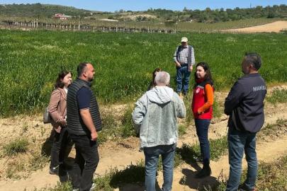 Sarıgöl’de incir hamlesi