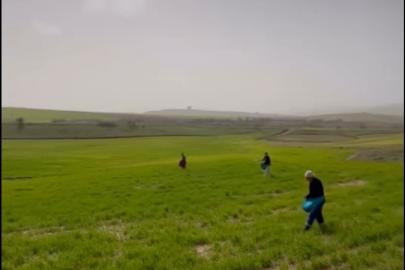 Siirt’te çiftçilerden zorlu mesai: Gübreleme eski usulle yapıldı