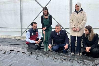 Sinop’ta IPARD desteğiyle kurulan serada ilk gül fidanları toprakla buluştu