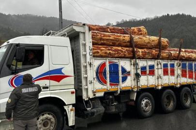 Sinop’ta orman ürünlerine 183 noktada denetim
