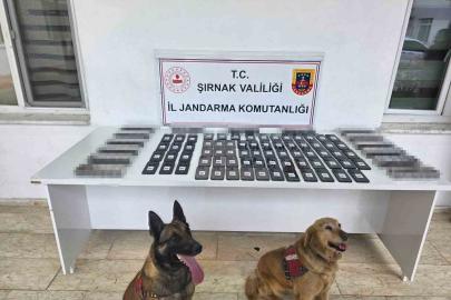 Şırnak’ta jandarmadan asayiş, kaçakçılık ve narkotik operasyonu