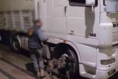 Sivas’ta 12 kilo uyuşturucu ele geçirildi: 2 tutuklama