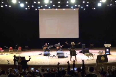 Sivas’ta Nevruz kutlamalarında renkli görüntüler: Sahneye kurtlar çıktı, şahin havada uçtu