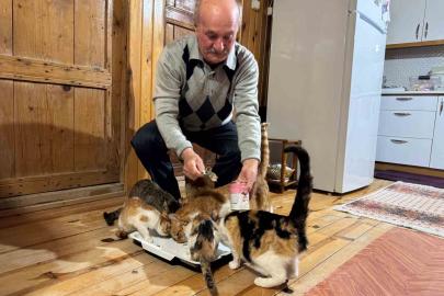 Sokak kedilerine evinin kapısını açtı, onlara yuva oldu