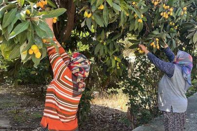 Talep azalınca bedava dağıttı, poşetini alan bahçeye koştu