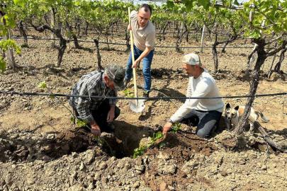 TARİŞ’ten bağlara yakın takip
