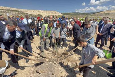 Taşınan her zeytin ağacına karşılık fidan: Milas’ta 4 bin zeytin toprakla buluştu