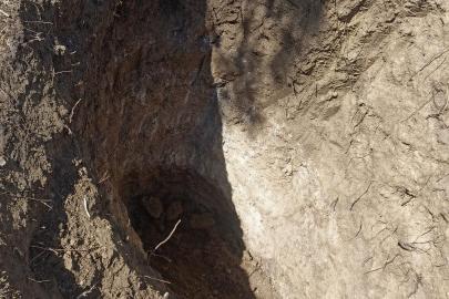 Tekirdağ’da mezarlıkta define aradılar