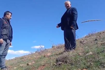 Ters laleyi koparmanın cezası 700 bin TL