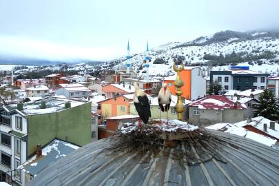 Tokat’ın Başçiftlik ilçesine 25 yıl sonra dönen leylekler, nisan ayında kar altında kaldı