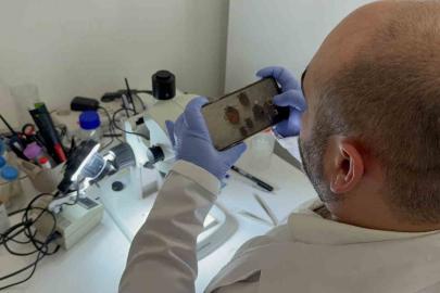 Tokat’ta uzmanından kene uyarısı: İklim düzensizliği ve küresel ısınma kene sezonunu uzatıyor