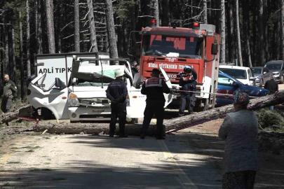 Uludağ’da inanılmaz olay...Kesilen ağaç seyir halindeki kamyonetin üzerine devrildi: 1 ölü