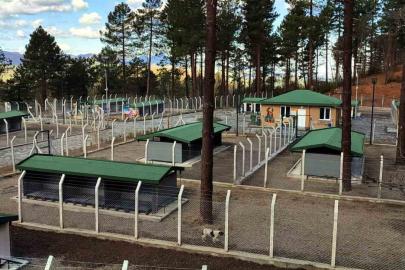 Ünye’de sahipsiz hayvanlar için örnek tesis tamamlanıyor