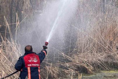 Van’da sazlık alanda yangın