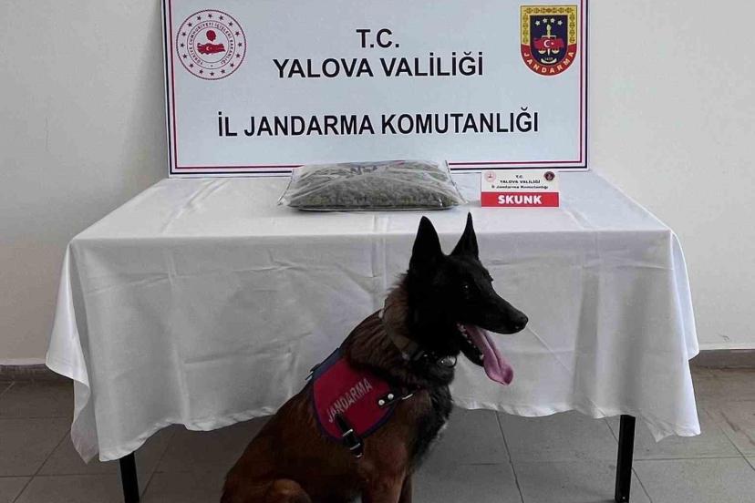 Yalova’da uyuşturucu operasyonunda 1 tutuklama