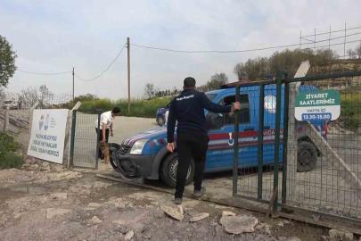 Yalova’daki barınakta köpek ölümleriyle ilgili soruşturma