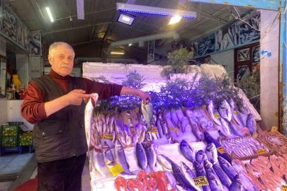 Yasak başladı, balık fiyatlarında henüz bir artış yok
