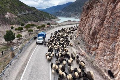 Yayla yolunda zorlu göçler başladı