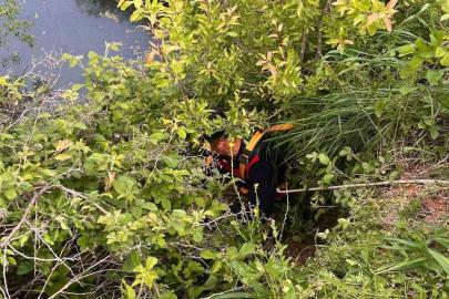 Yayladağı’nda gölete düşen büyükbaş hayvan kurtarıldı