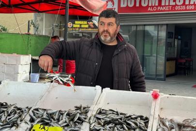 Zonguldak’ta tezgahlarda istavrit bolluğu: Kilosu 100 liradan satılıyor