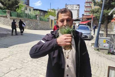 Zuzubak otu, köylüler için önemli bir gelir kapısı