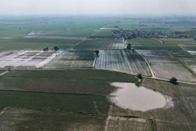 Adana’da tarım arazileri sular altında kaldı
