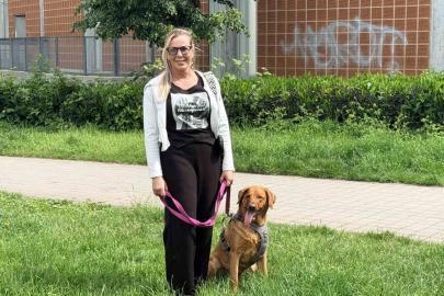 Almanya’da köpek sahiplerine sigorta şartı