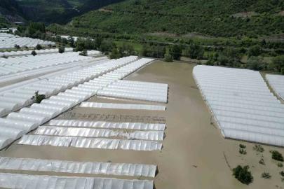 Amasya’da Yeşilırmak Nehri taştı, tarım arazileri sular altında kaldı