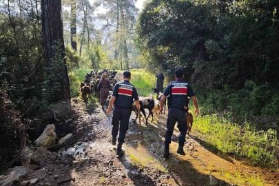 Antalya’da sürüden ayrılıp kaybolan 41 keçi jandarma tarafından bulundu