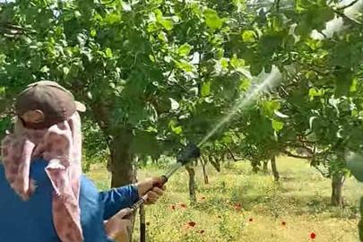Araban’da Antepfıstığı üreticileri hastalıklar ve zararlılarla mücadele başlattı