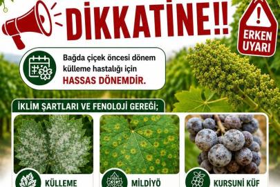 Bağlarda üreticilere ilaçlama uyarısı