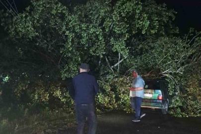 Bartın’da şiddetli fırtına: ağaçlar Otomobillerin üzerine devrildi