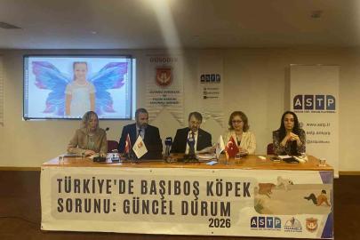 Başıboş köpek mağdurları panelde buluştu