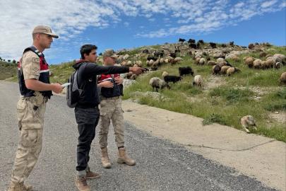 Batman’da Jandarma, Kurban Bayramı öncesi hırsızlara karşı besicileri uyardı